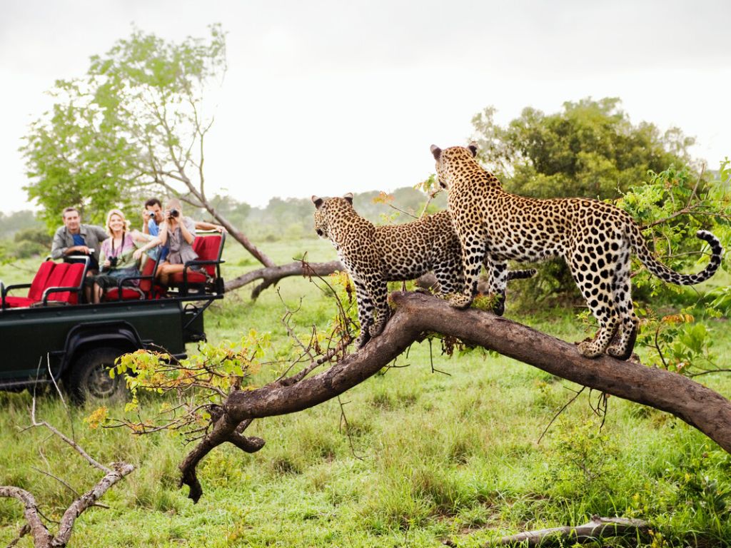 South Africa