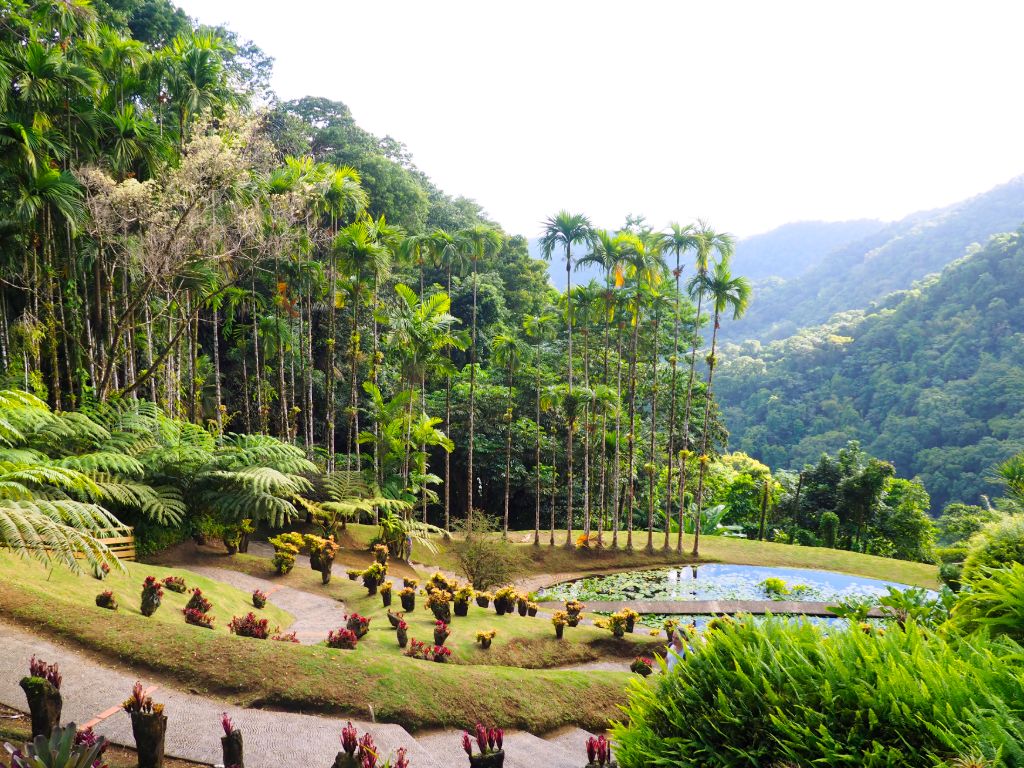 St Vincent botanical gardens