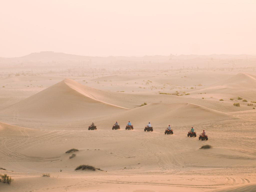 Placeholder visual 2