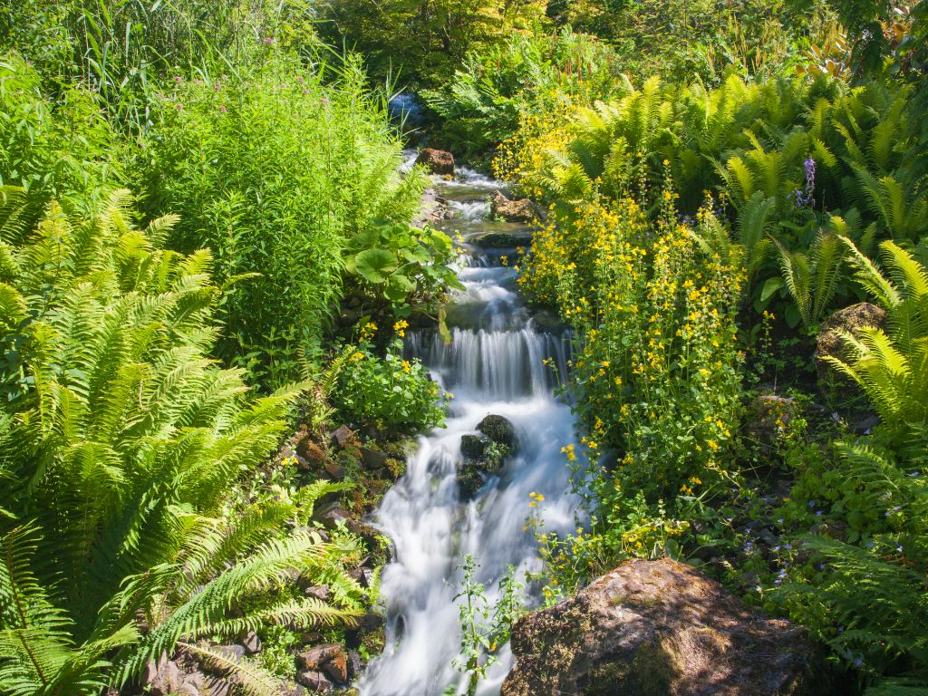 Royal Botanic Gardens