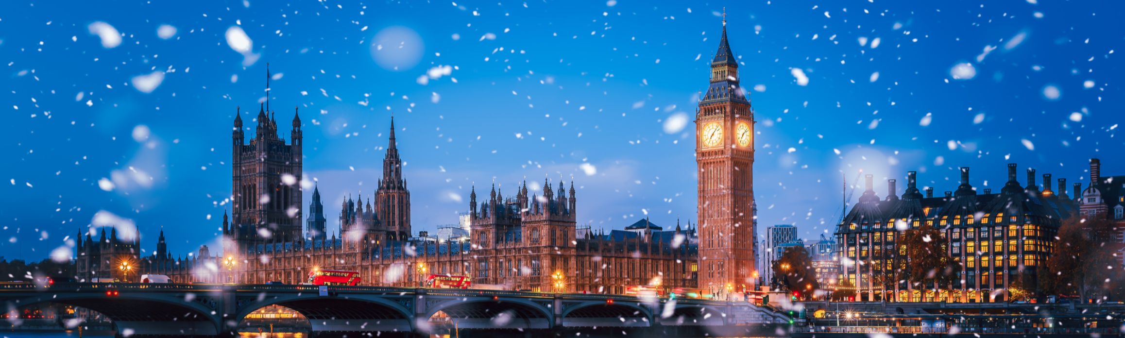 Tower Bridge with a christmas tree next to it