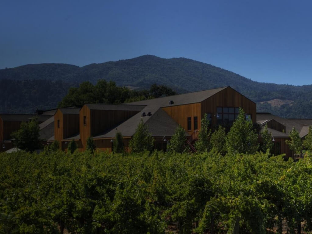 Dine among the vines: the best restaurants in Napa Valley