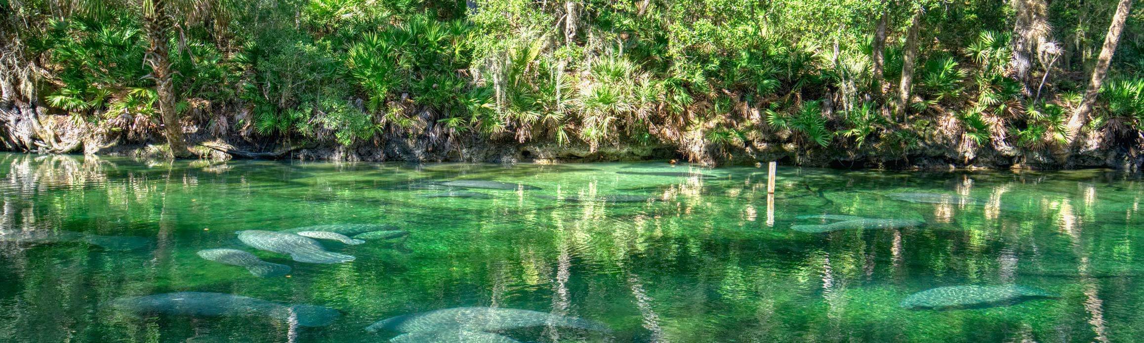 Orlando nature reserves