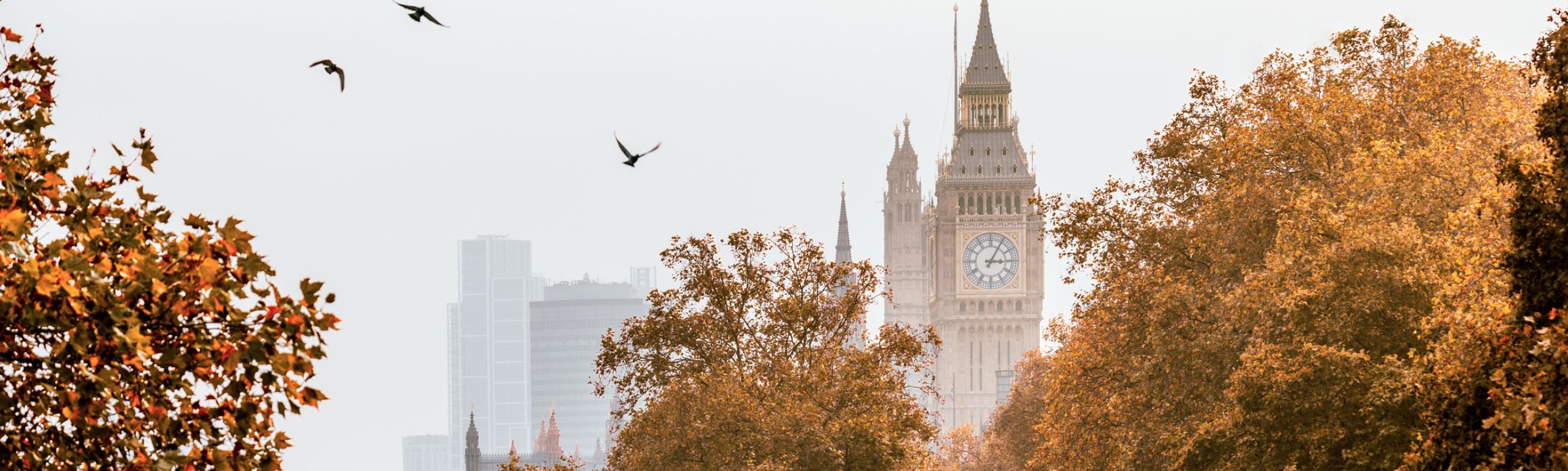 Big Ben in Autumn