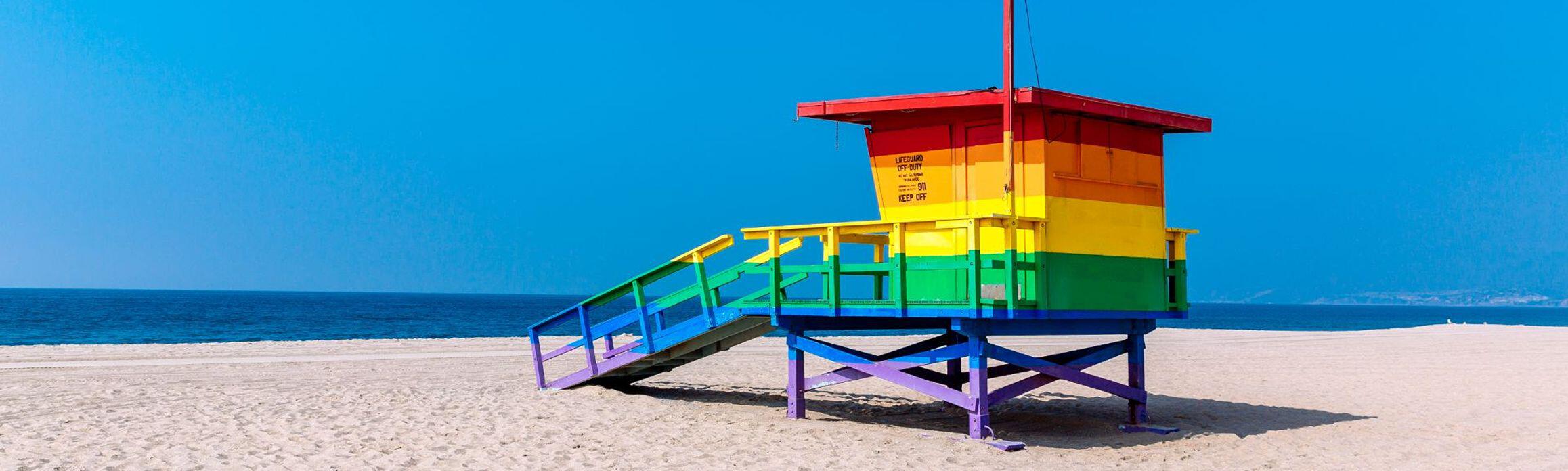 LGBTQ+