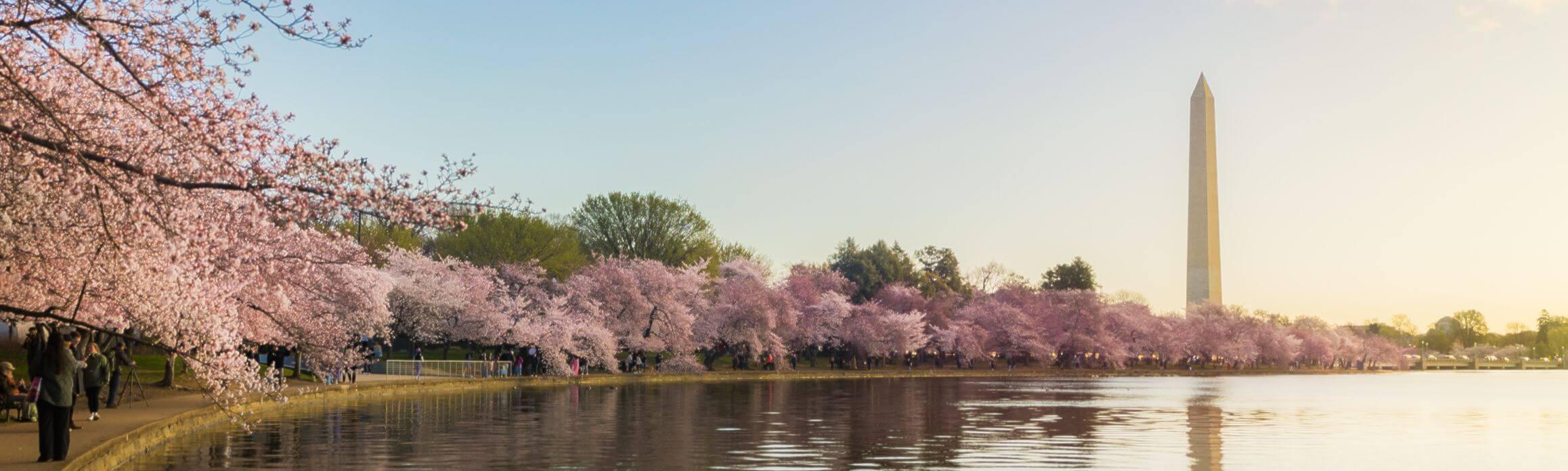 Washington DC