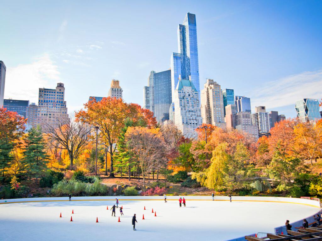 Central Park in winter