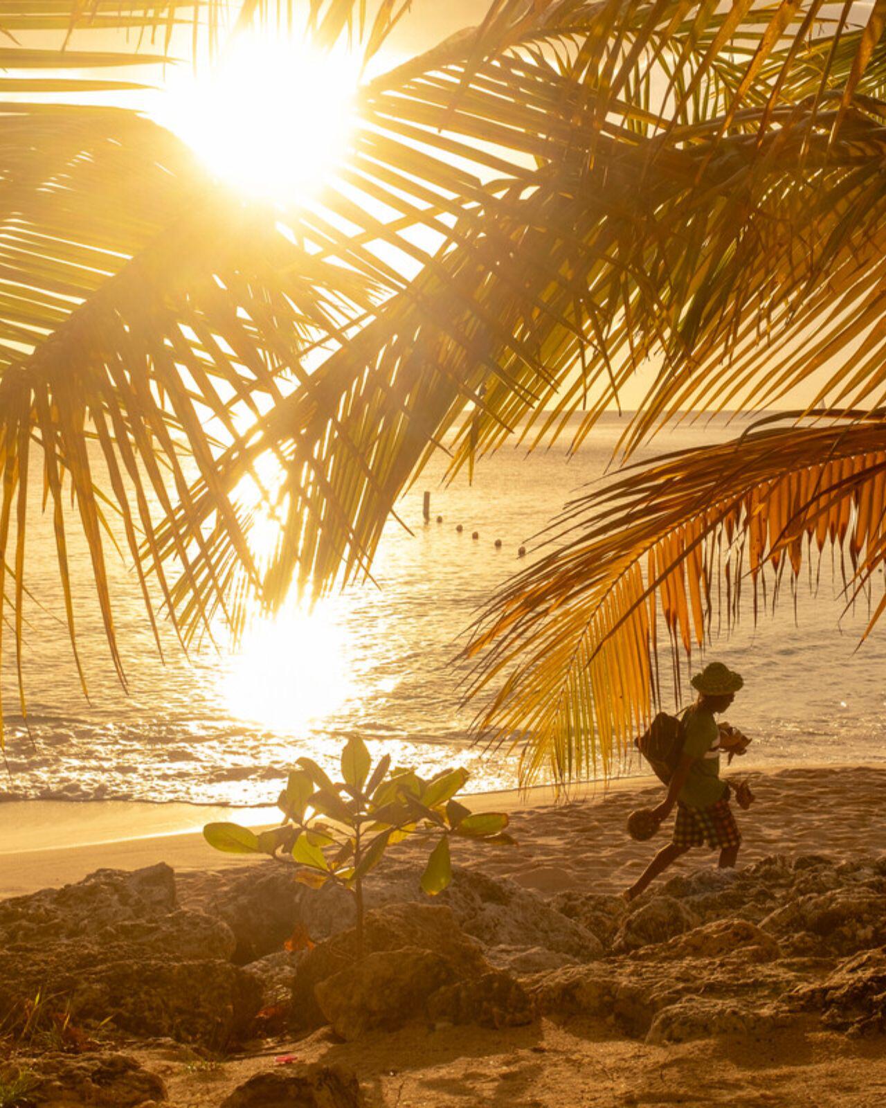 Beach in Barbados