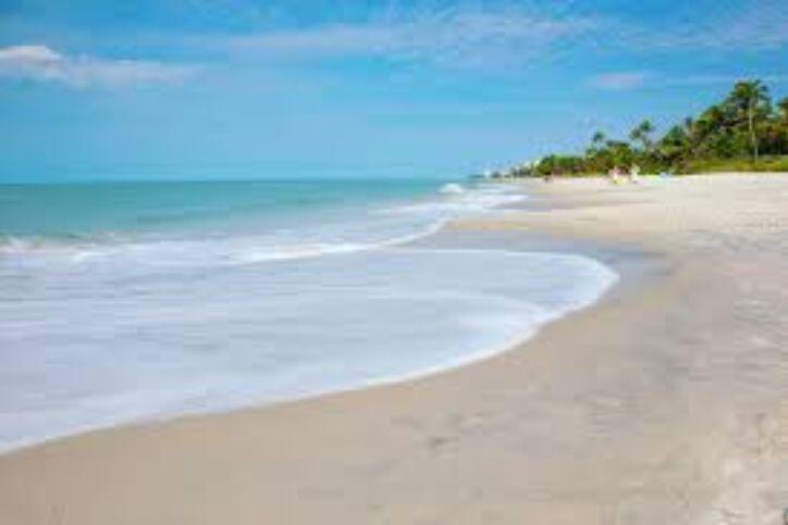 Bonita Beach 