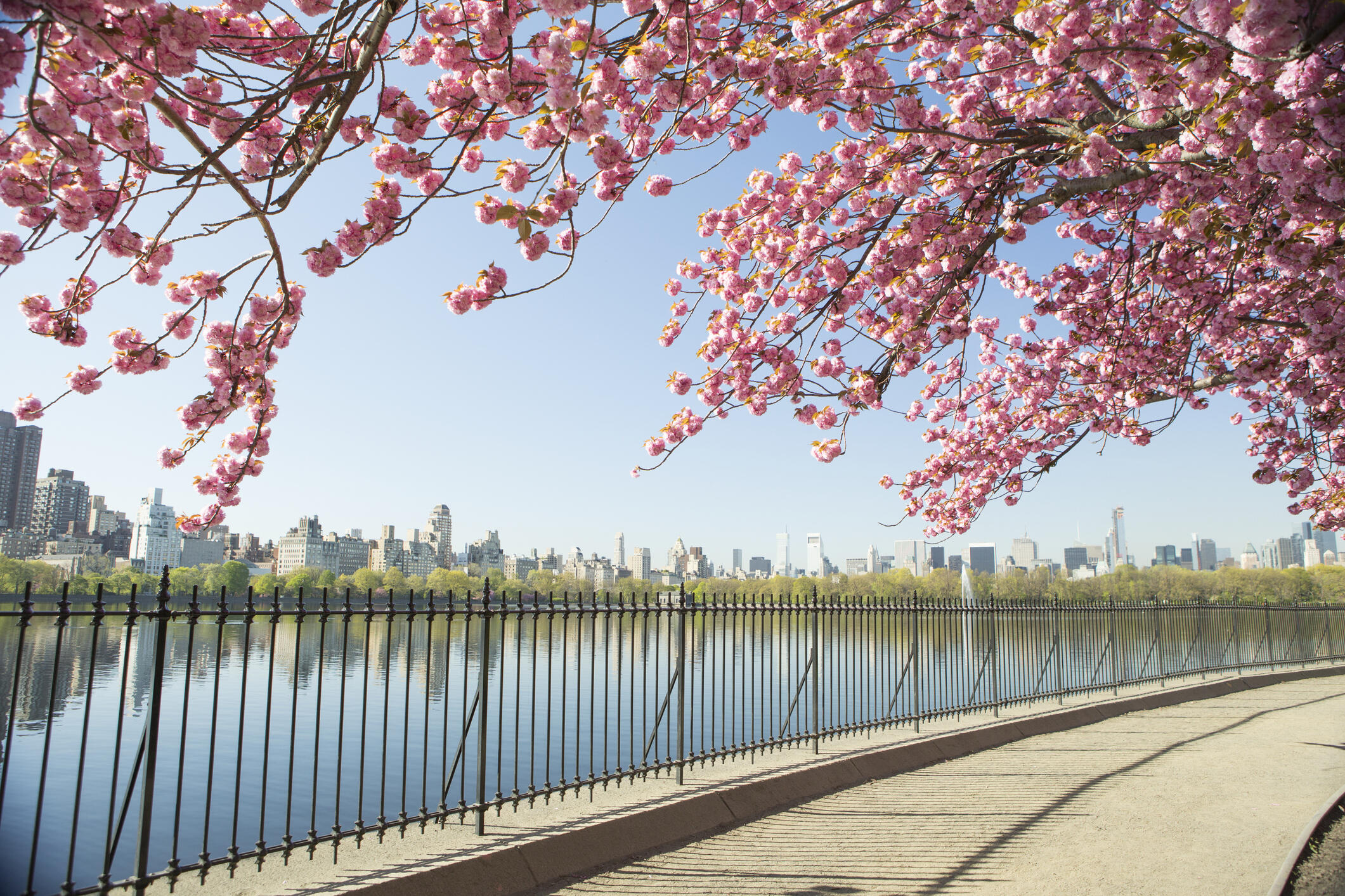 New York in Spring