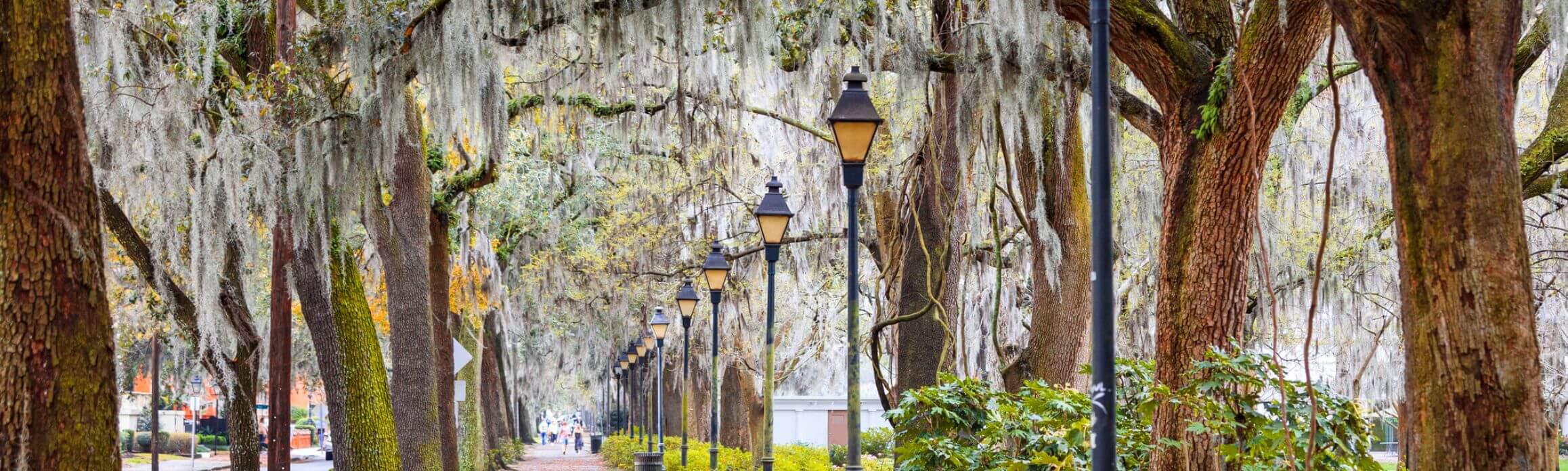 Savannah street