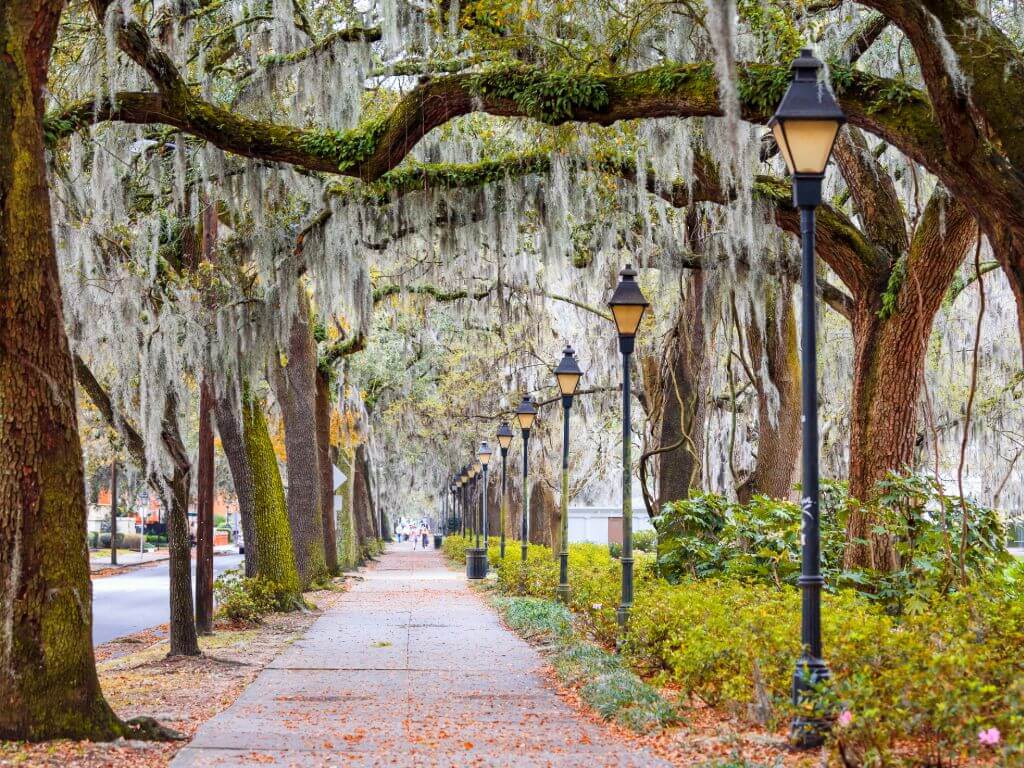 Holidays in Savannah