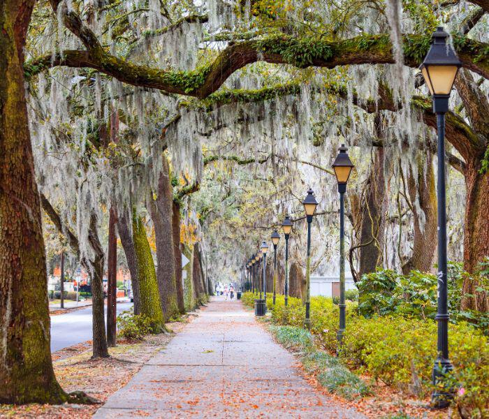 Savannah street
