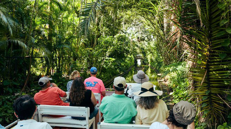 Everglades tour
