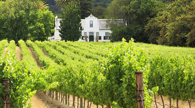 Winelands image
