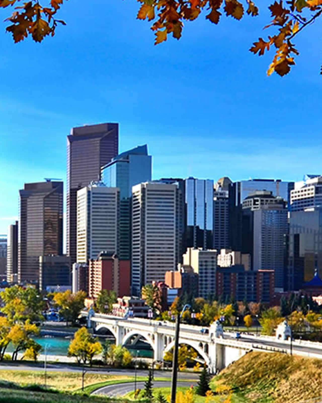 Calgary mobile