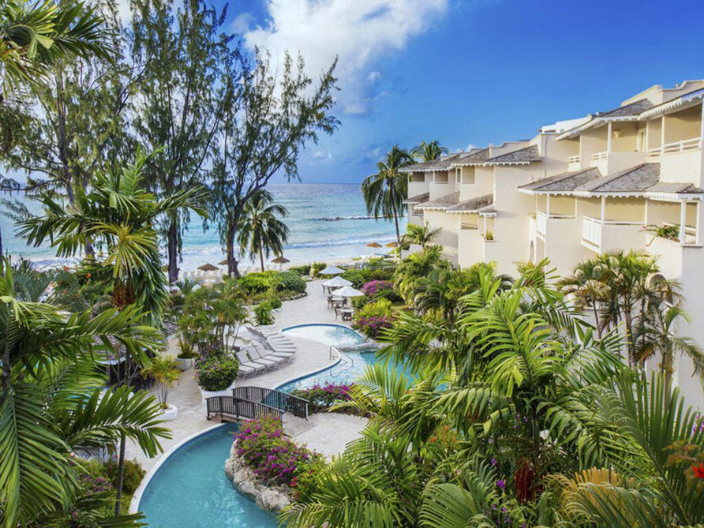 Bougainvillea Barbados
