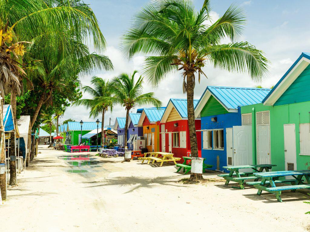 The Caribbean