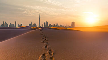 Dubai ladies in the desert