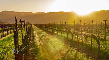 Napa Valley holidays