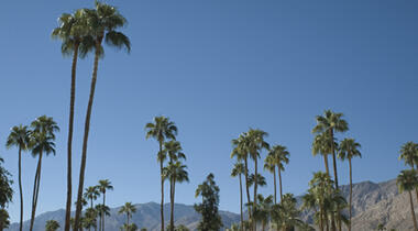 Palm Springs