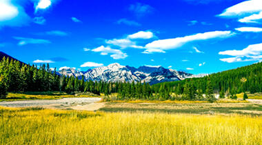 Whistler image