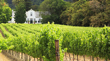 Winelands image