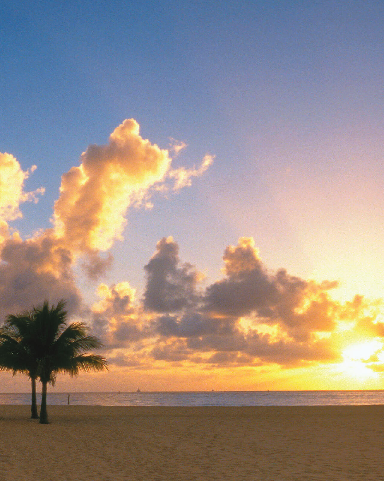 Gold Coast Beaches, Florida