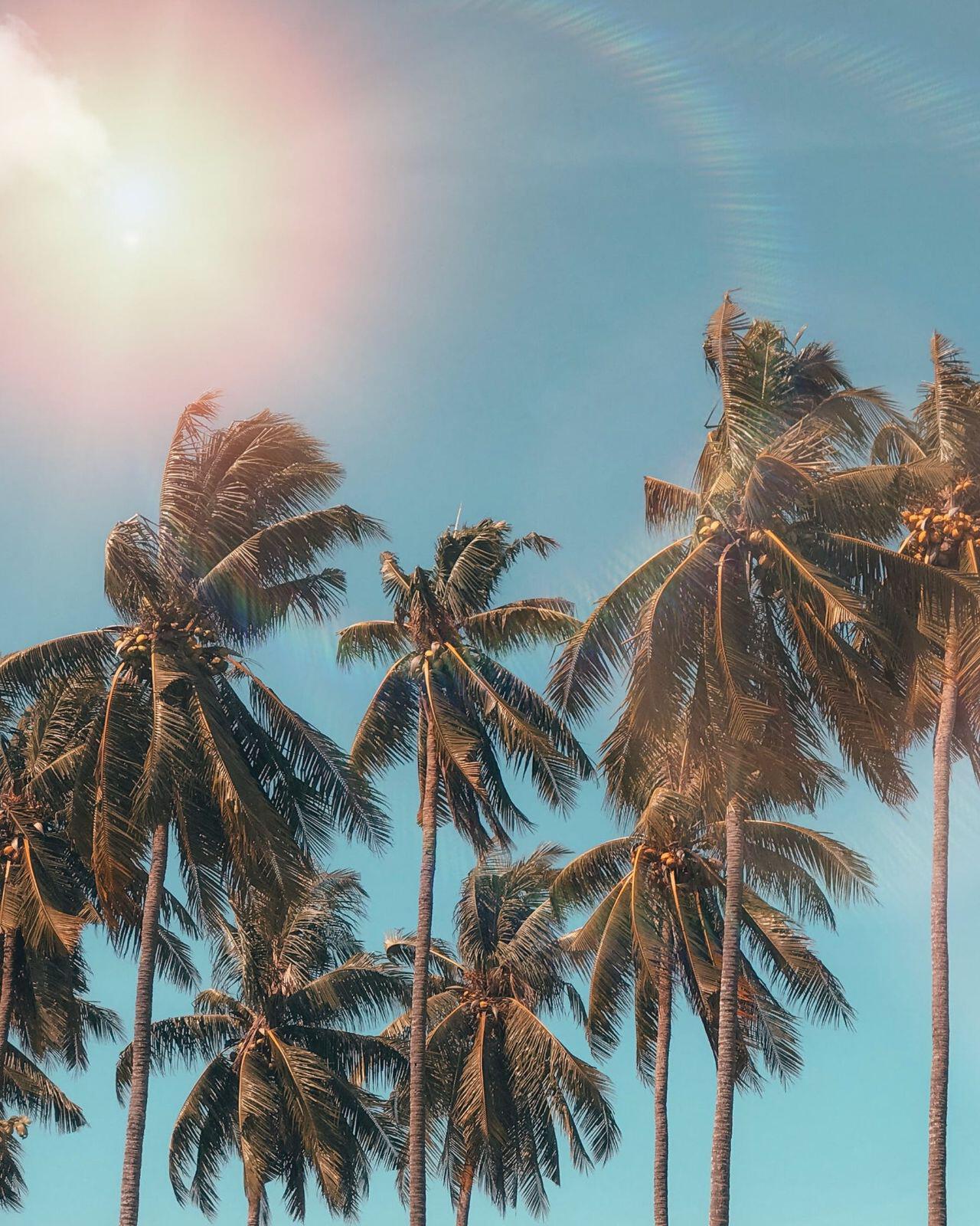 Palm Beach