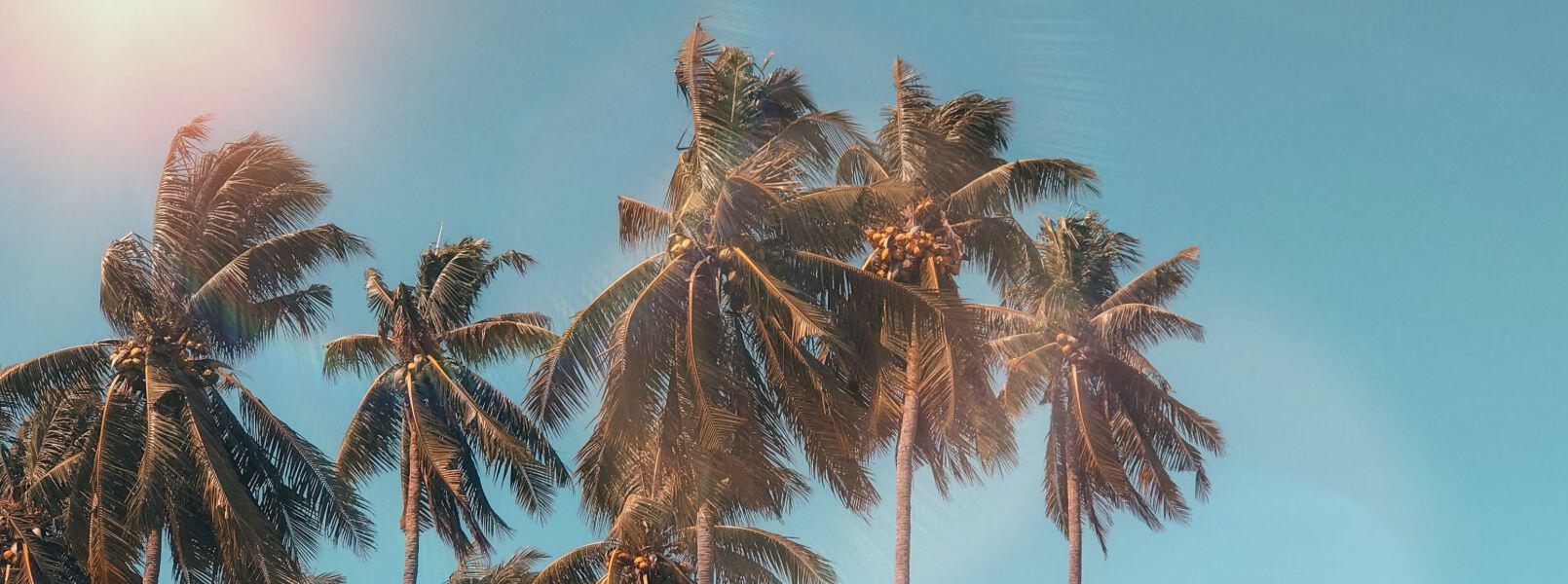 Palm Beach