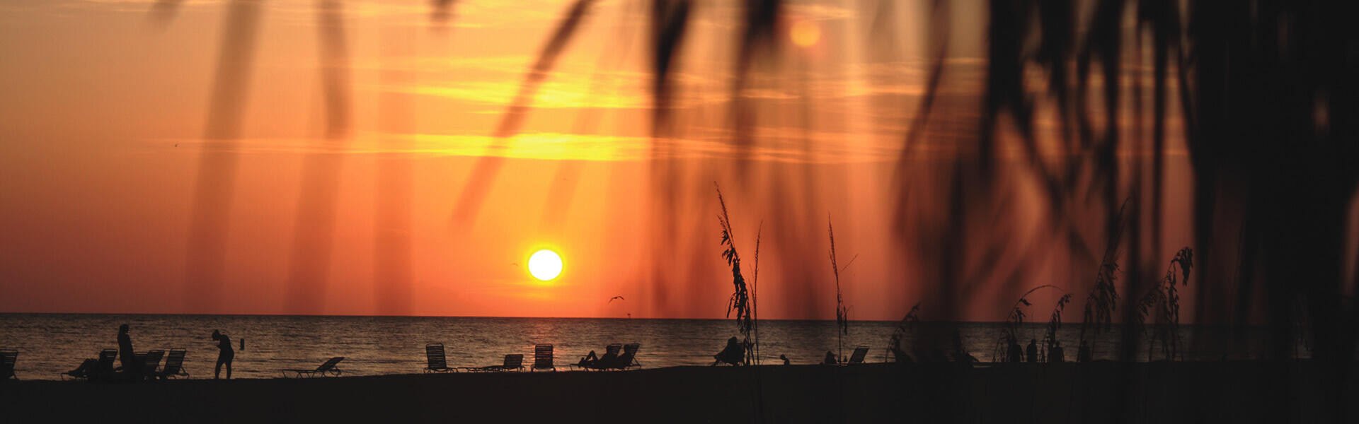  Sarasota/Bradenton holidays 
