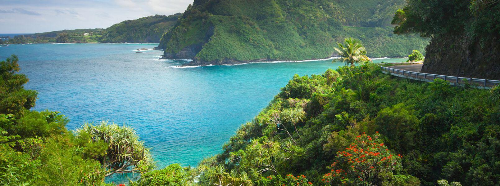 Maui banner