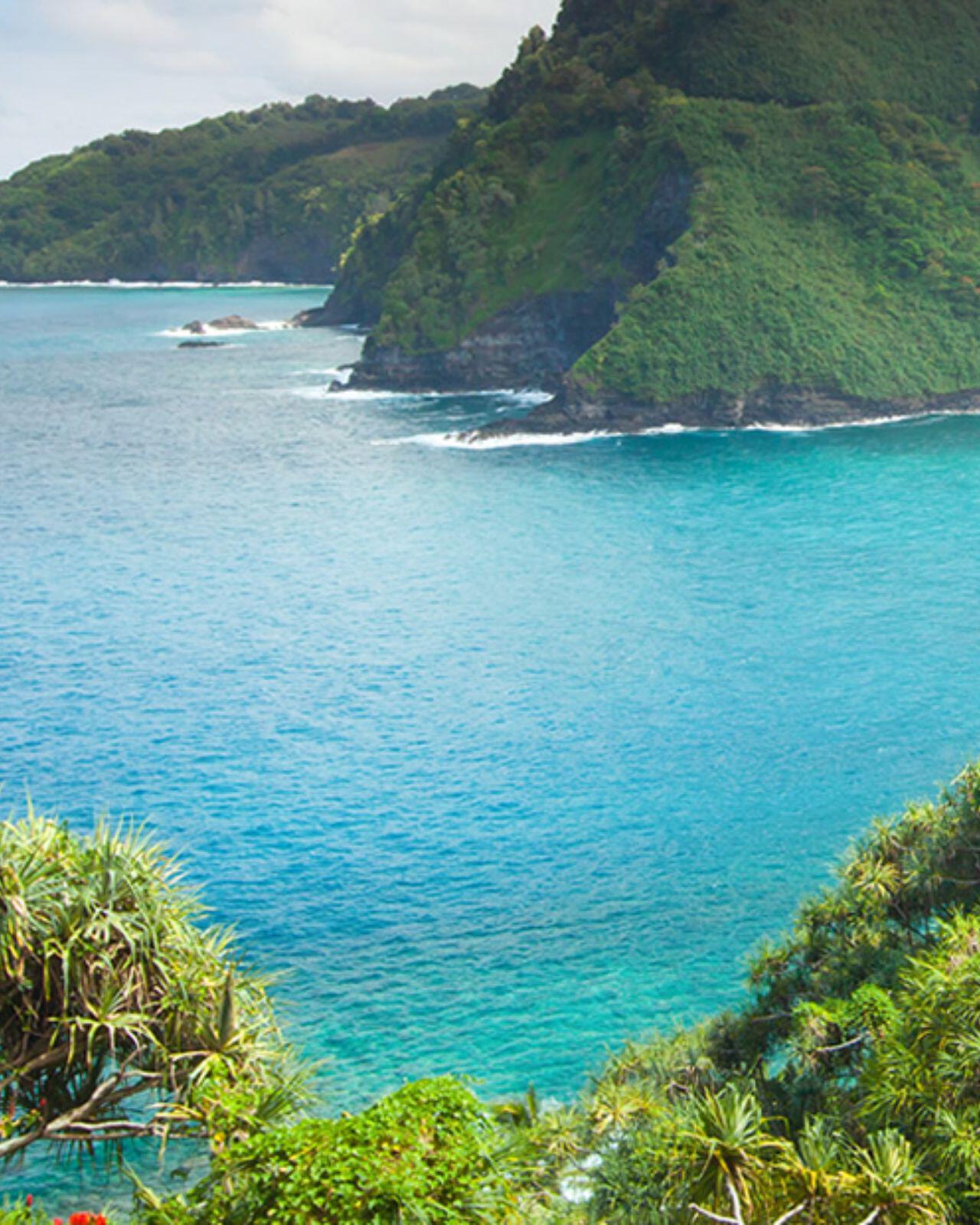 Maui banner