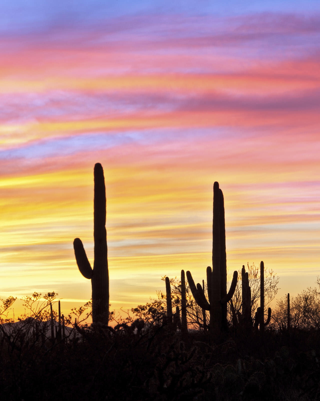Anuncio de Arizona