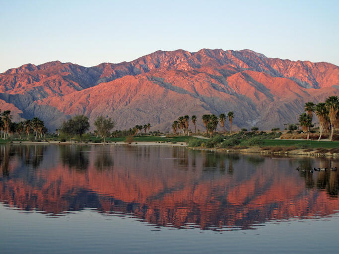 Palm Springs Landscape