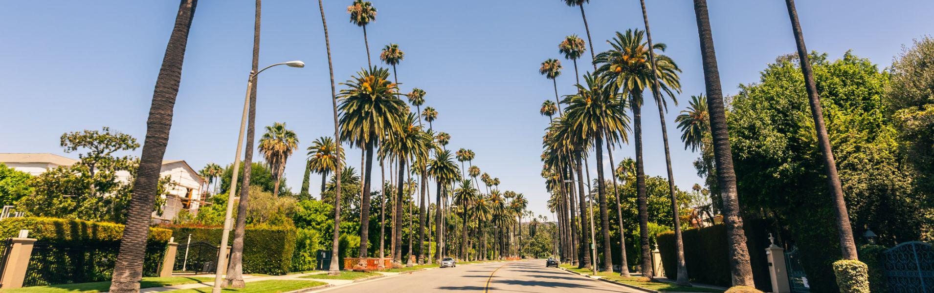 Beverly Hills street