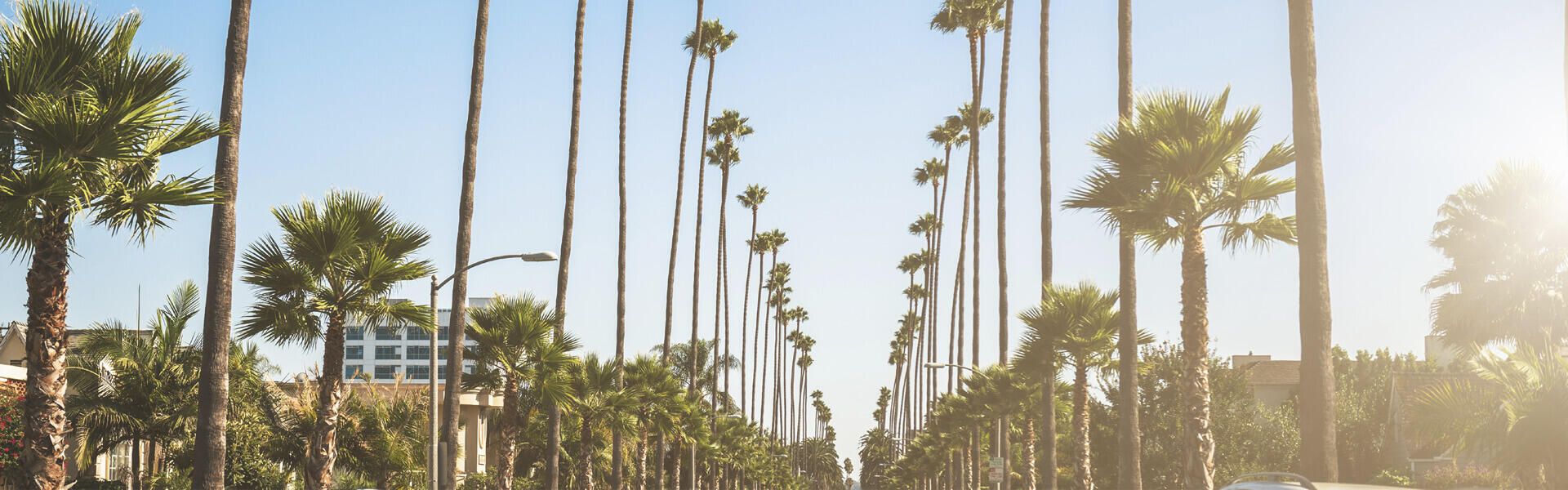 West Hollywood holidays