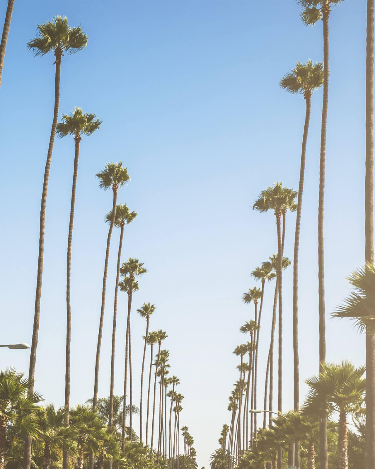 West Hollywood holidays