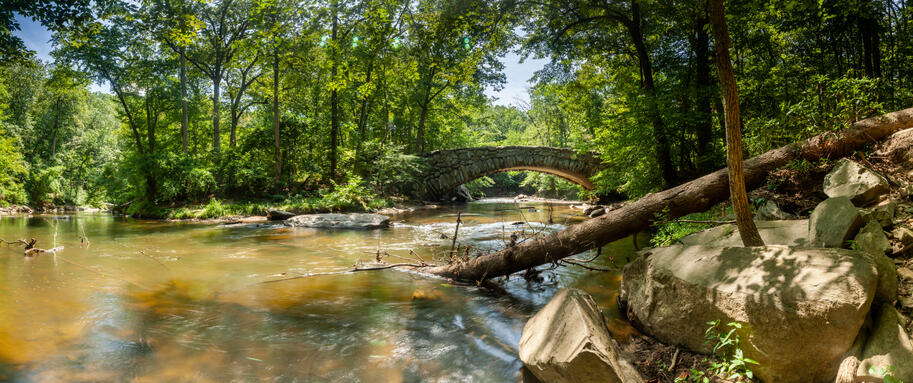 Rock Creek Park Washington