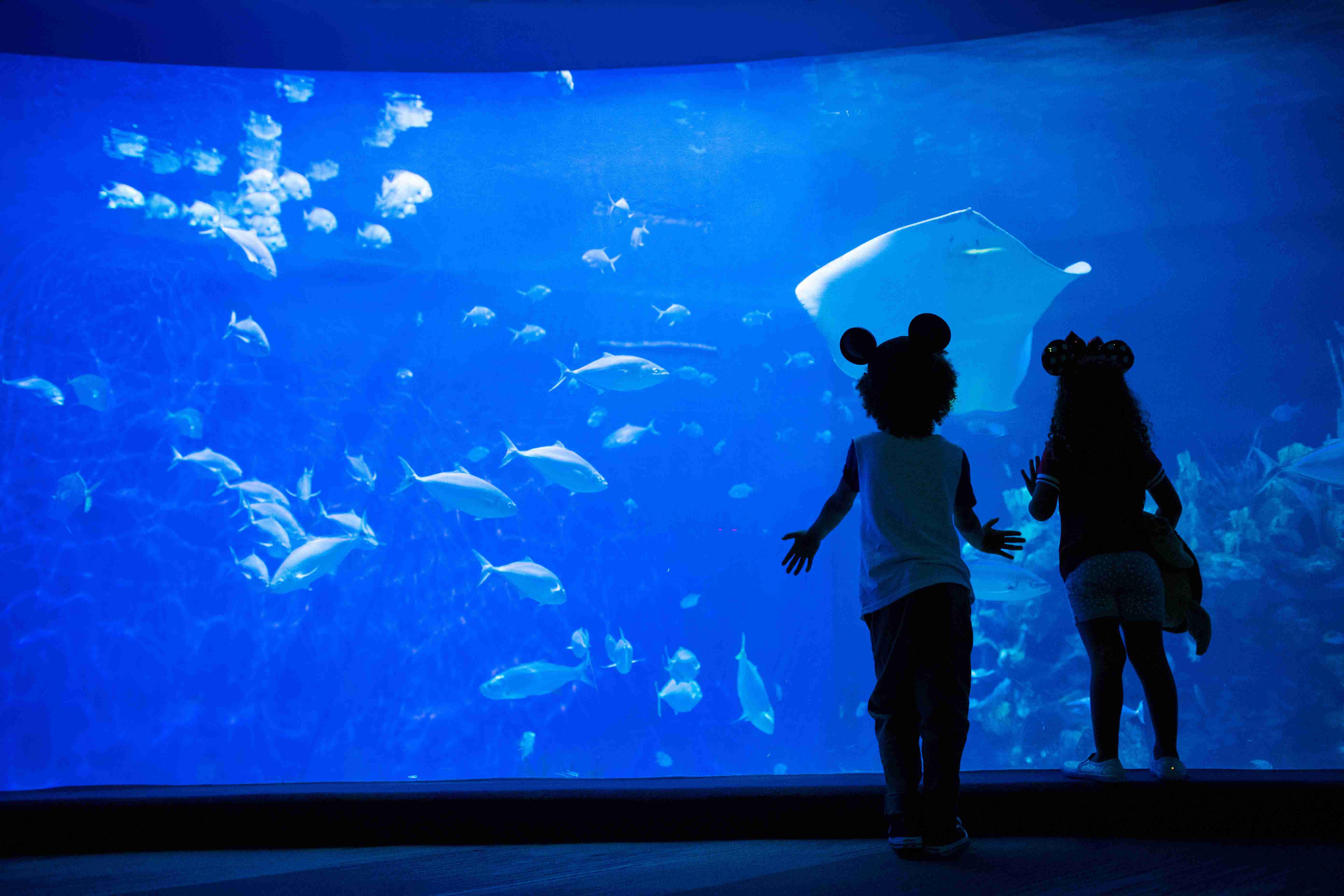 Nemo - Epcot