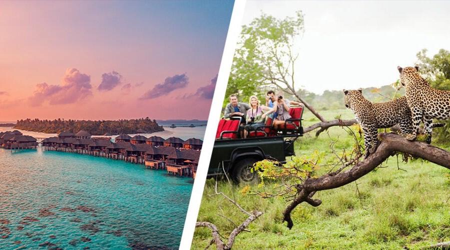 Maldives & South Africa