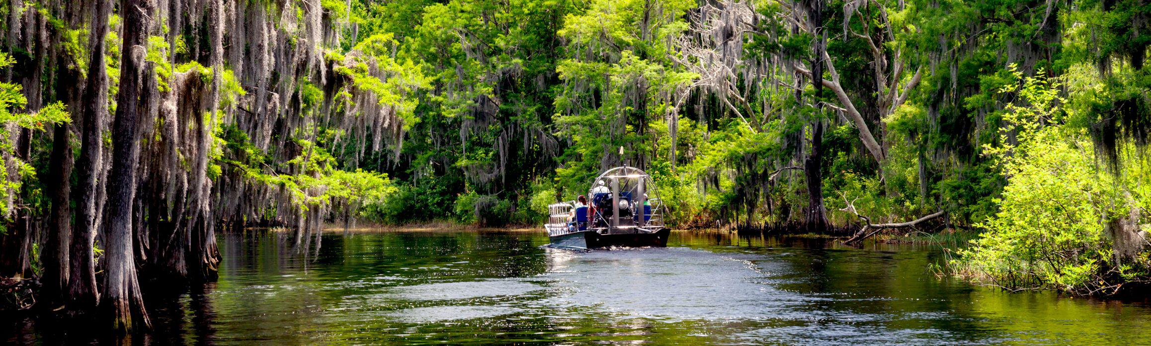 Kissimmee - The Everglades