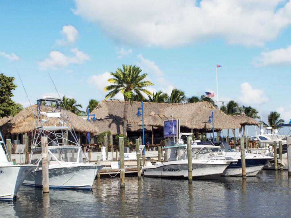 Coconut Grove