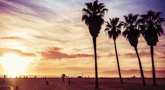 California image
