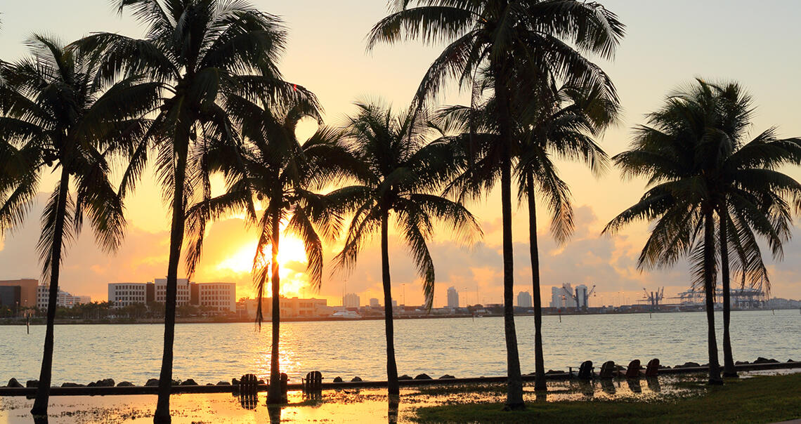 Miami Stay and Cruise