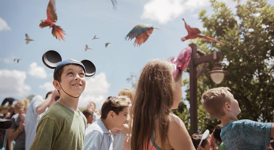 Disney's Animal Kingdom