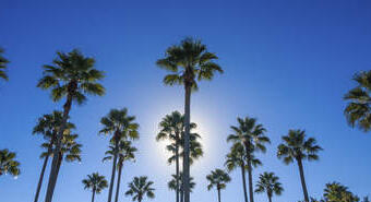 Kissimmee, Orlando