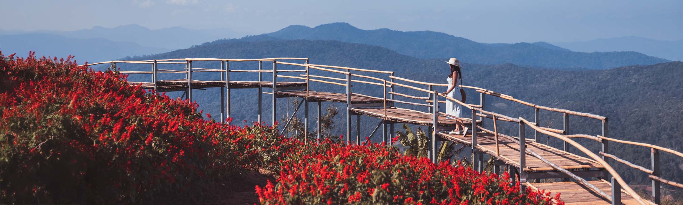 A woman stands on a bridge in Mon Jam, Chiang Mai, looking out at a red flower garden, with mountains in the distant background