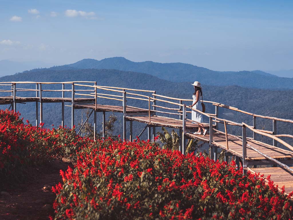 A woman stands on a bridge in Mon Jam, Chiang Mai, looking out at a red flower garden, with mountains in the distant background