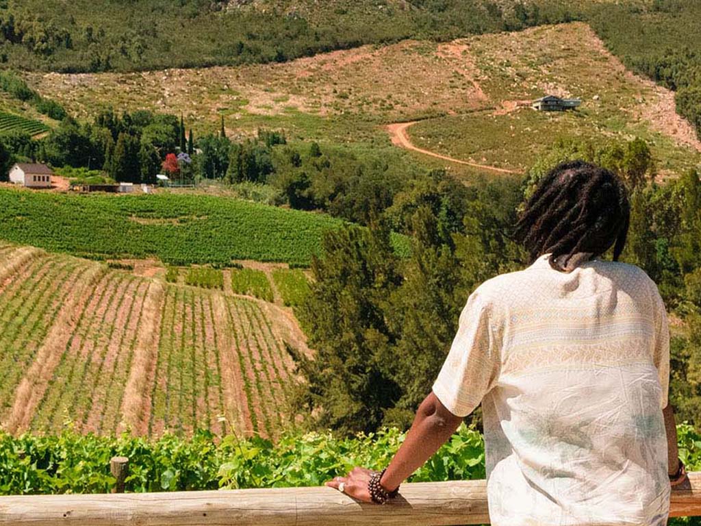 A man with his back to the camera looks out over a vineyard